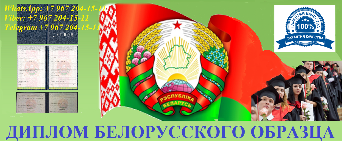 ДЫПЛОМ БЕЛАРУСЬ